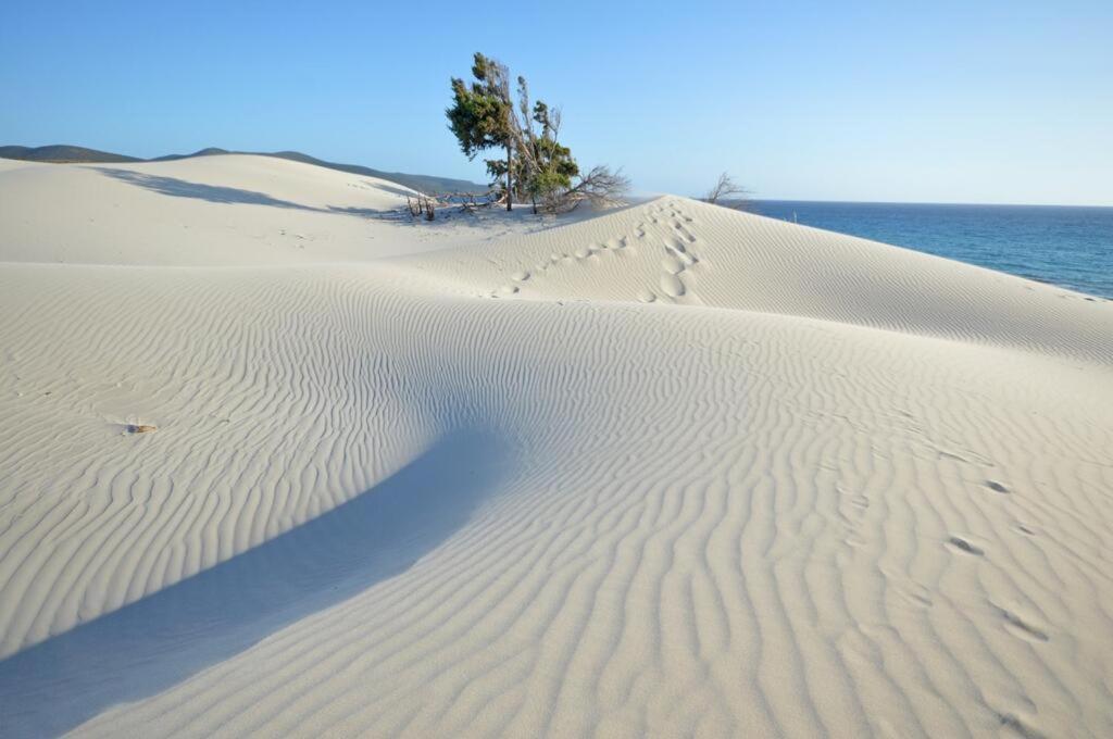 Eco Village Baia Delle Ginestre Teulada Dış mekan fotoğraf