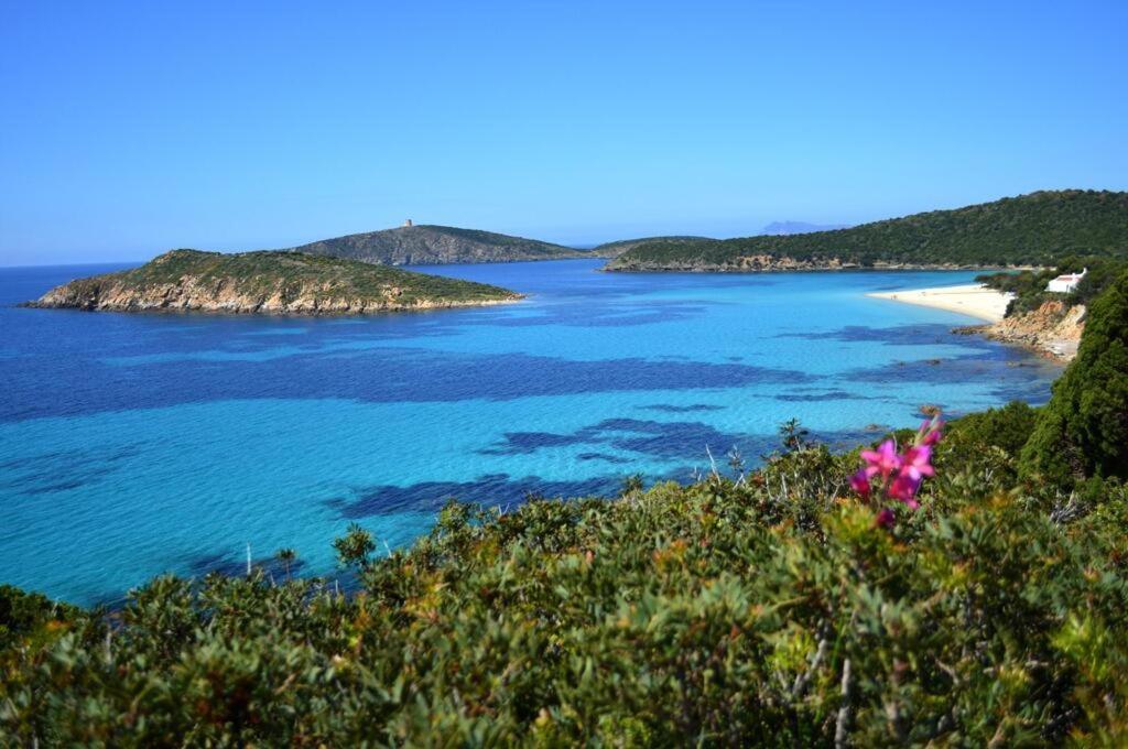 Eco Village Baia Delle Ginestre Teulada Dış mekan fotoğraf