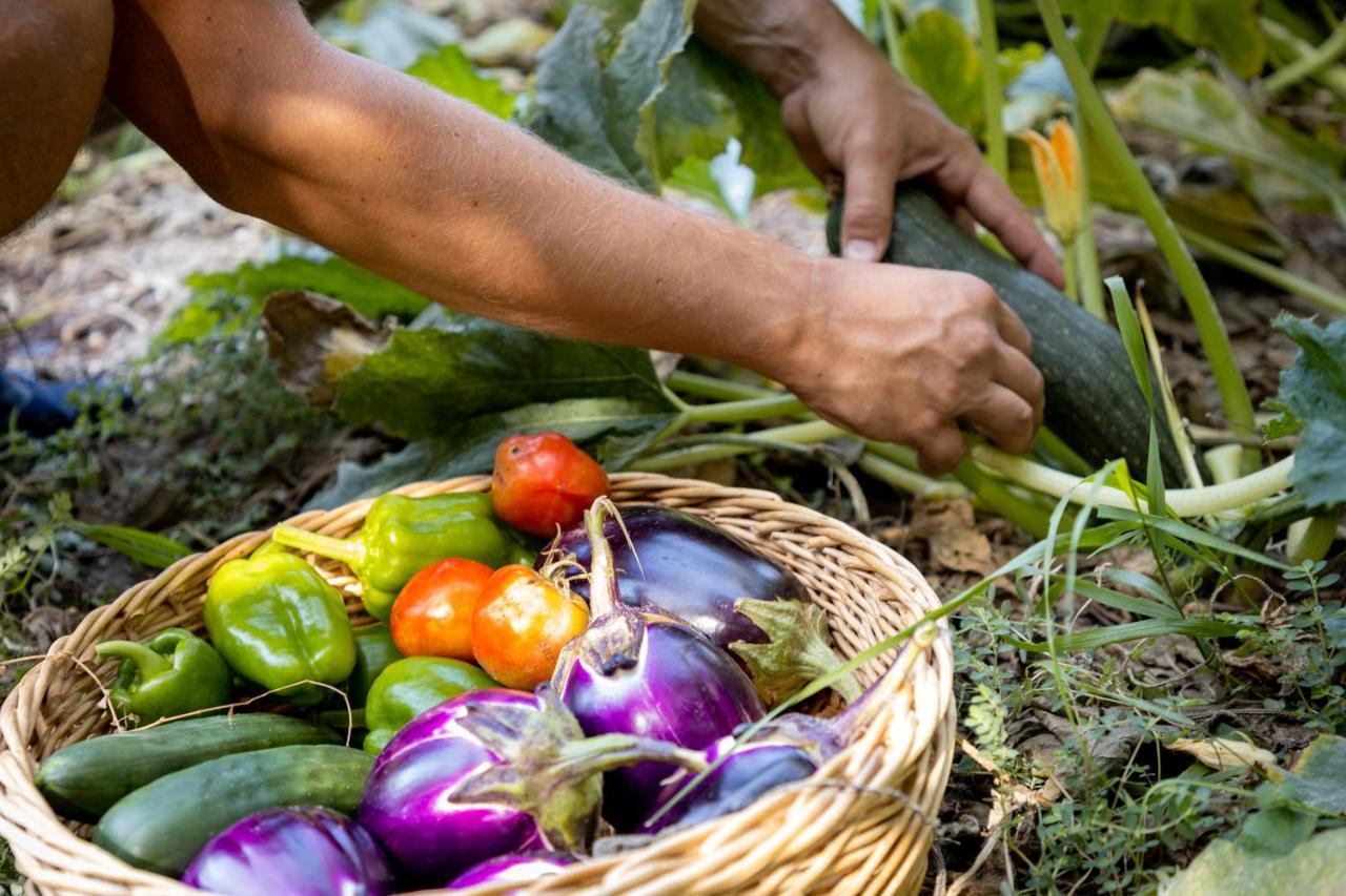 Eco Village Baia Delle Ginestre Teulada Dış mekan fotoğraf