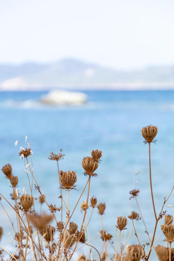 Eco Village Baia Delle Ginestre Teulada Dış mekan fotoğraf