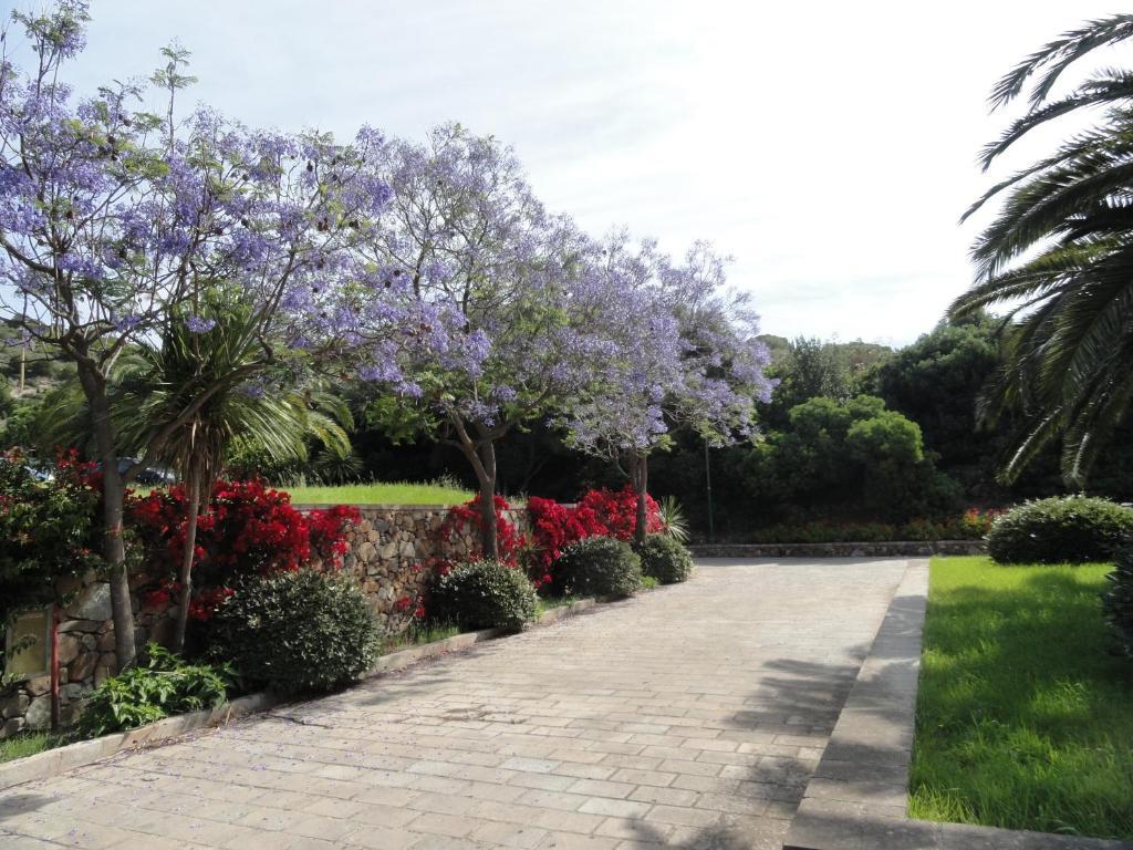 Eco Village Baia Delle Ginestre Teulada Oda fotoğraf