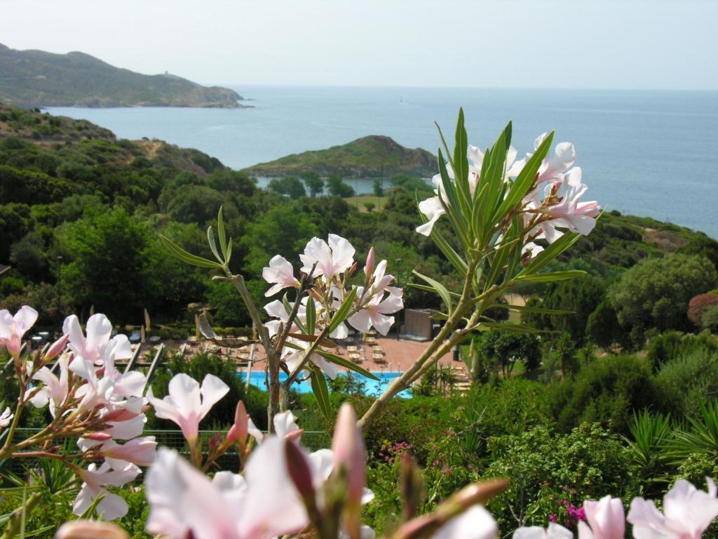 Eco Village Baia Delle Ginestre Teulada Oda fotoğraf