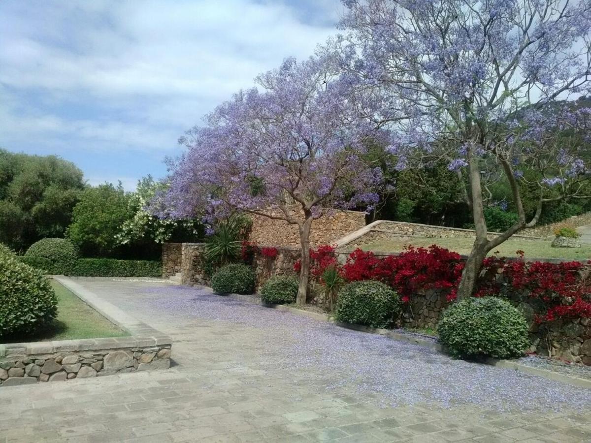 Eco Village Baia Delle Ginestre Teulada Dış mekan fotoğraf